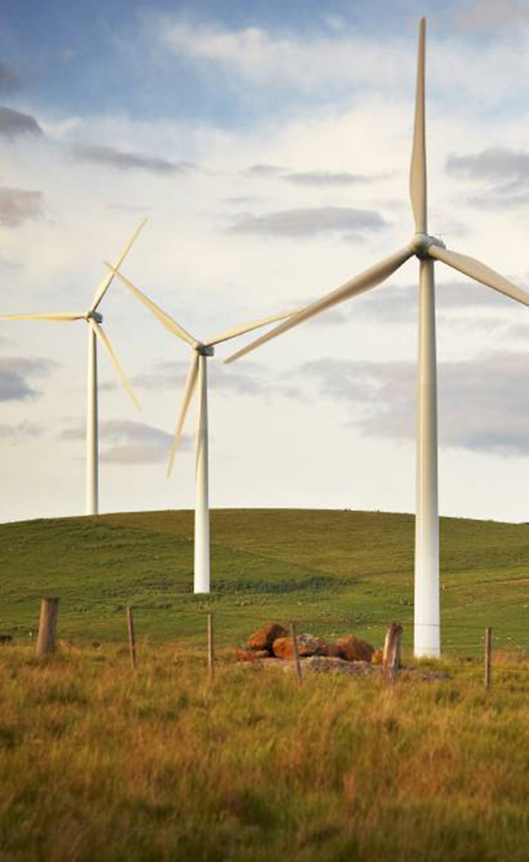 rbg-mortlake-south-wind-farm-phone-image-1